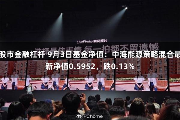 股市金融杠杆 9月3日基金净值：中海能源策略混合最新净值0.5952，跌0.13%