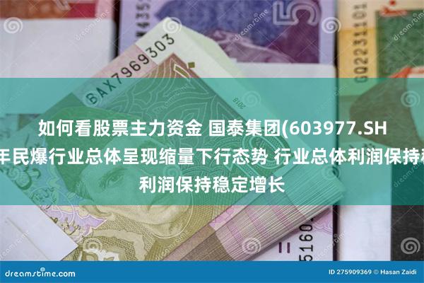 如何看股票主力资金 国泰集团(603977.SH)：上半年民爆行业总体呈现缩量下行态势 行业总体利润保持稳定增长