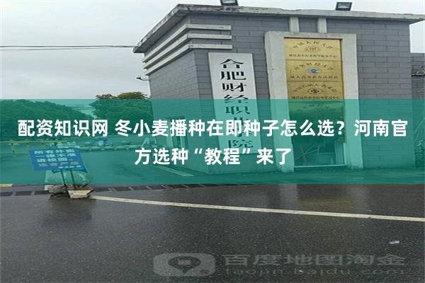 配资知识网 冬小麦播种在即种子怎么选？河南官方选种“教程”来了