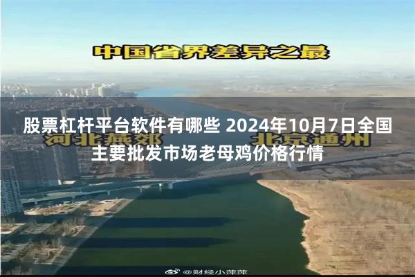 股票杠杆平台软件有哪些 2024年10月7日全国主要批发市场老母鸡价格行情