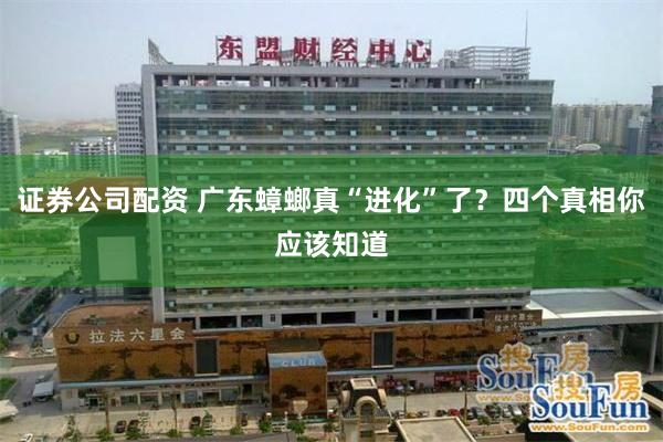 证券公司配资 广东蟑螂真“进化”了？四个真相你应该知道