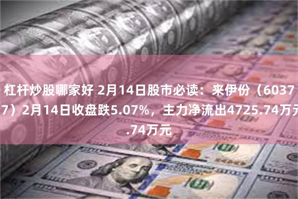 杠杆炒股哪家好 2月14日股市必读：来伊份（603777）2月14日收盘跌5.07%，主力净流出4725.74万元